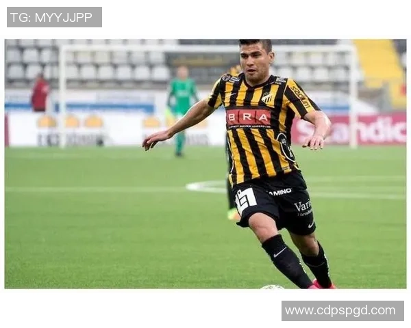 卡尔玛与佐加顿斯的对决谁能胜出分析与预测