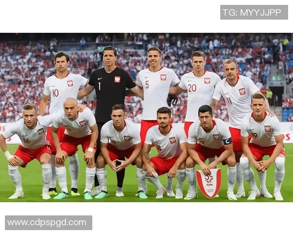 欧洲杯预选赛精彩对决葡萄牙队迎战强敌全力争胜